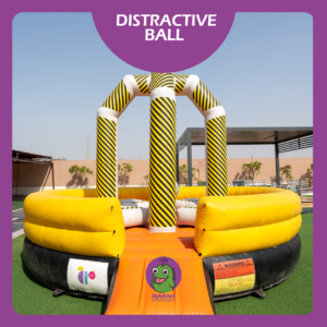 DISTRACTIVE BALL
